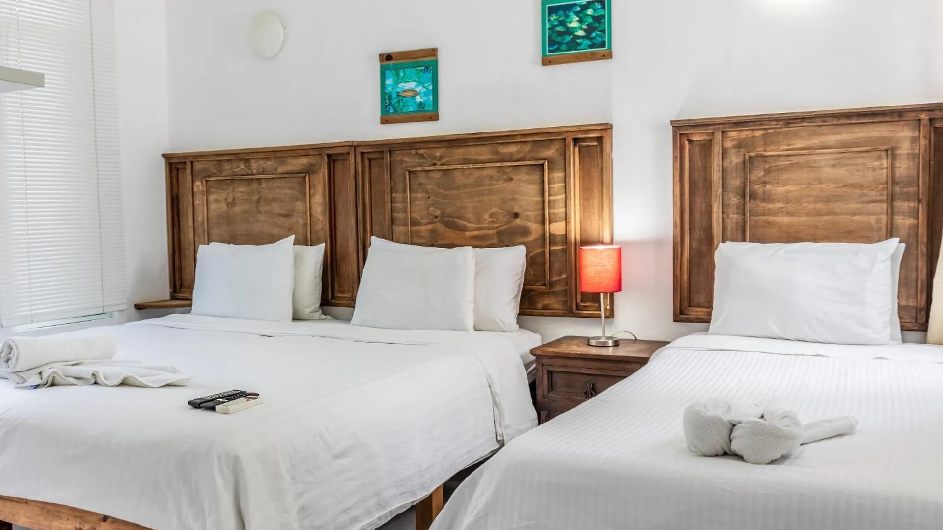 Bed and Breakfast Casaejido Playa del Carmen